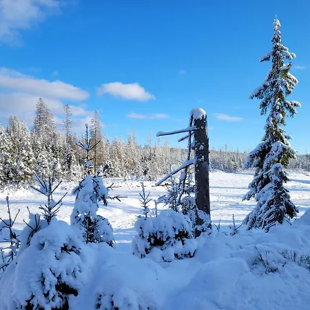 Lejlighed Schoener Weitblick Bad Sachsa